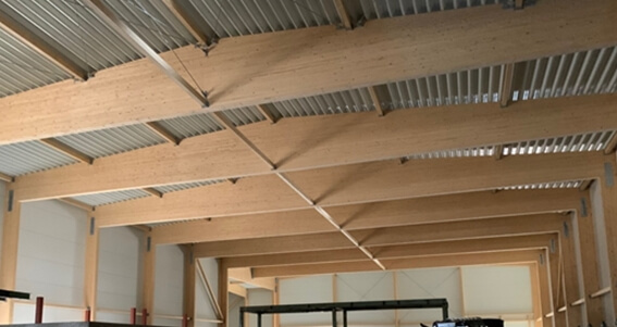 Hala typowa – dwuspadowa